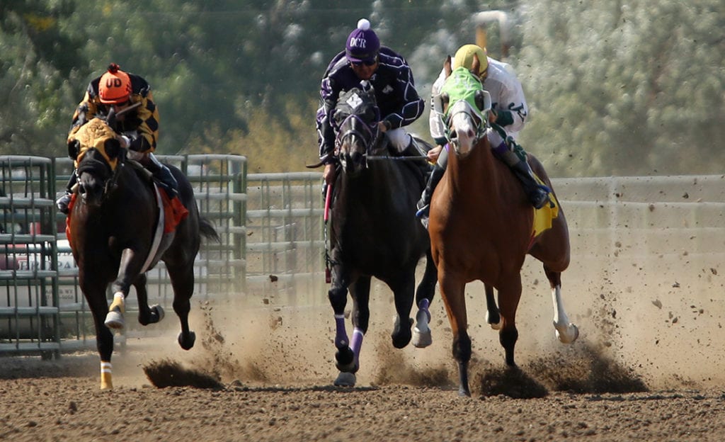 Wyoming Horse Racing And Brew Fest (GALLERY) Casper, WY Oil City News