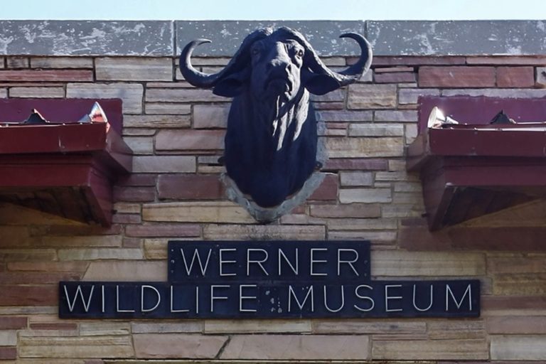 Werner Wildlife Museum (Casper) - 2018 All You Need to 
