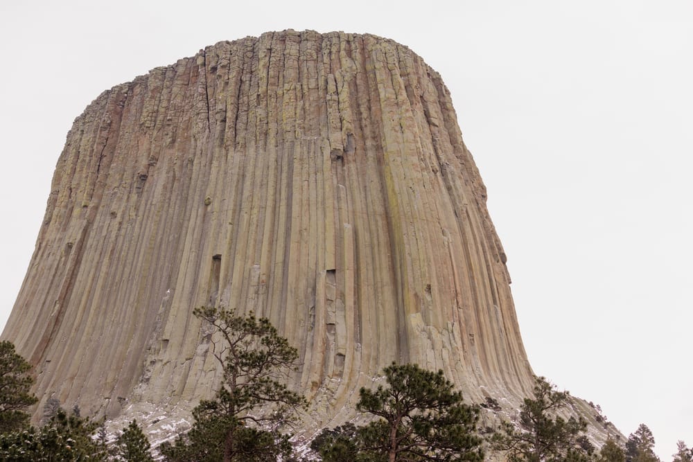 Devil's Tower climbing routes closed for falcons - Casper, WY Oil City News