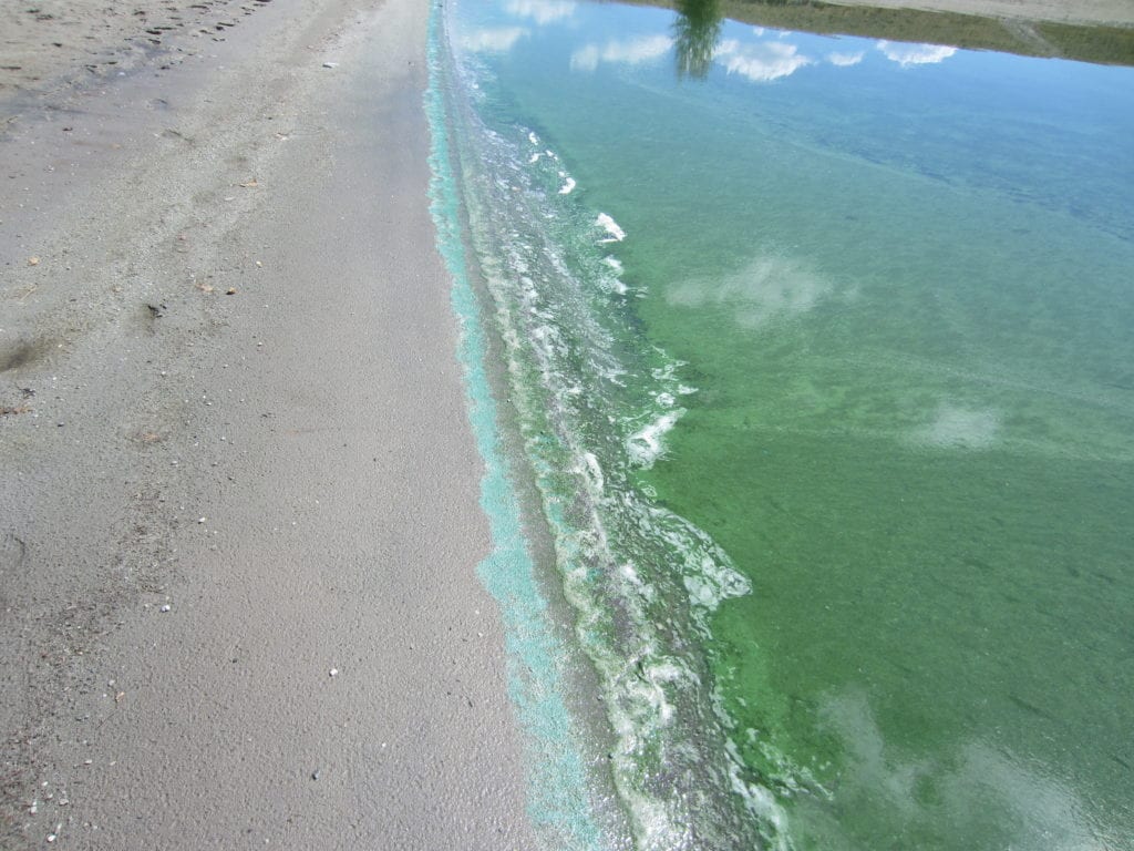 Toxic algae bloom advisory in effect at Pathfinder Reservoir - Casper ...