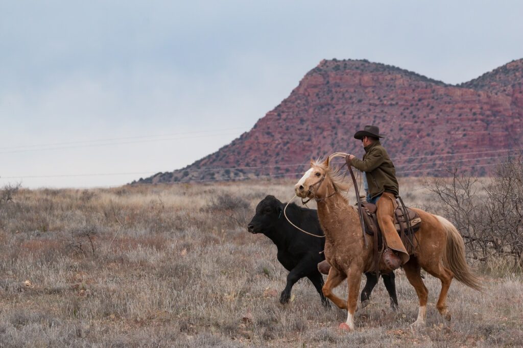 Senate Debate Repealing Wyoming s First Felony Cattle Rustling 