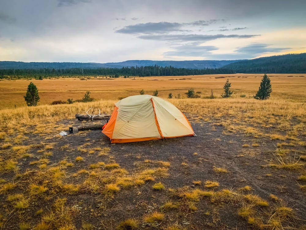 are dogs allowed at casper campground