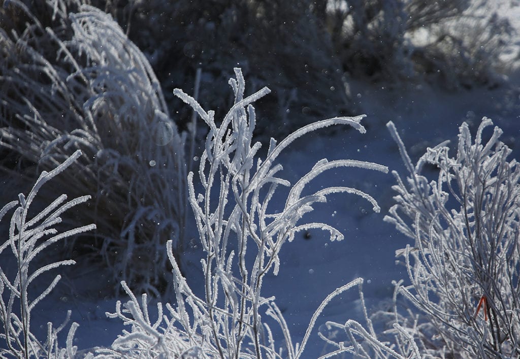 Black ice, partial closures along I-25 early Thursday as winter ...