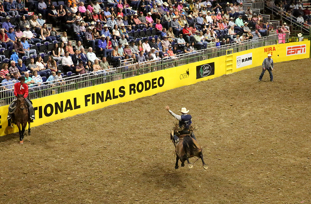 Here are the Wyoming schools ready to ride at next week’s College National Finals Rodeo