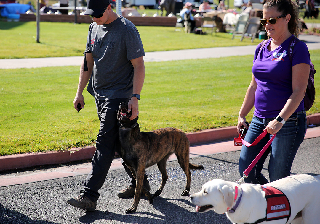 Dog Parks: Casper's favorite places to spend a day with their dog ...