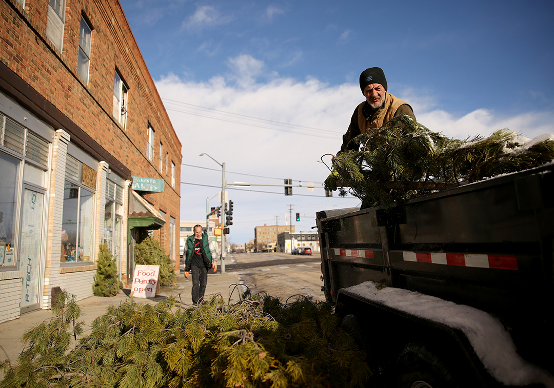 Poverty Resistance offering free Christmas trees for those in need