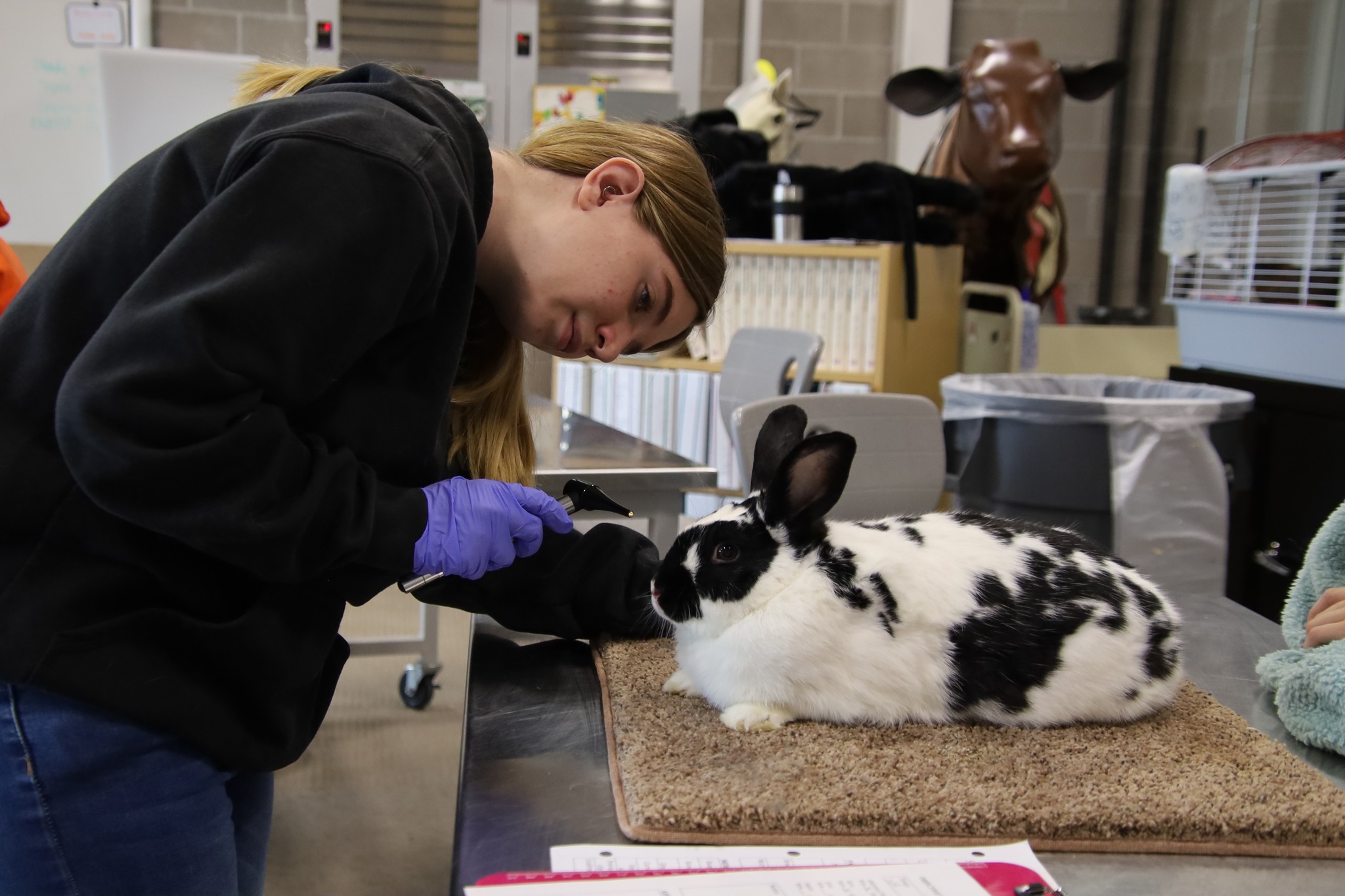 (PHOTOS) Prospective vets of the future care for Casper critters at