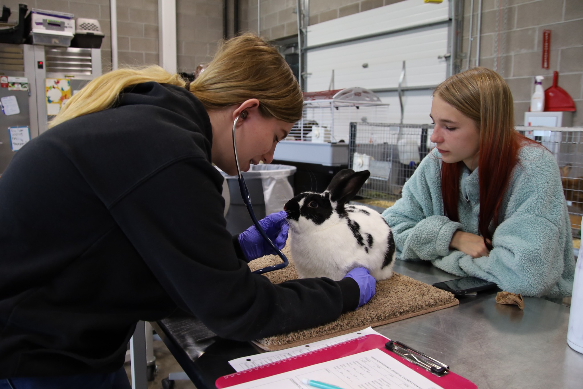 (PHOTOS) Prospective vets of the future care for Casper critters at