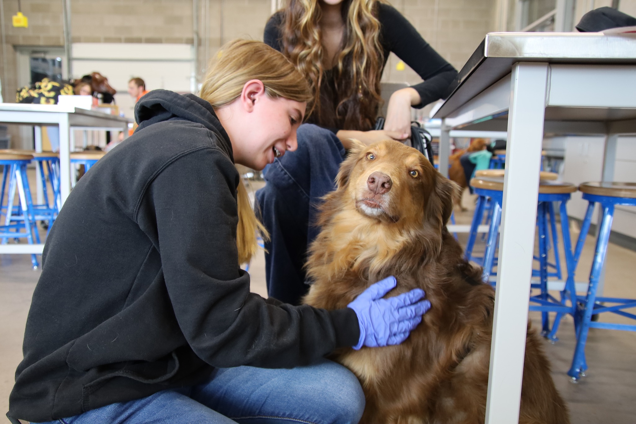 (PHOTOS) Prospective vets of the future care for Casper critters at