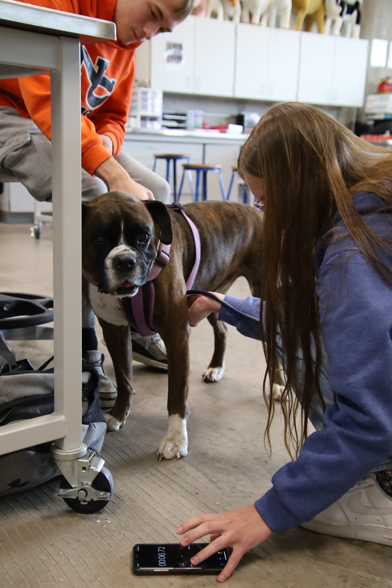 (PHOTOS) Prospective vets of the future care for Casper critters at