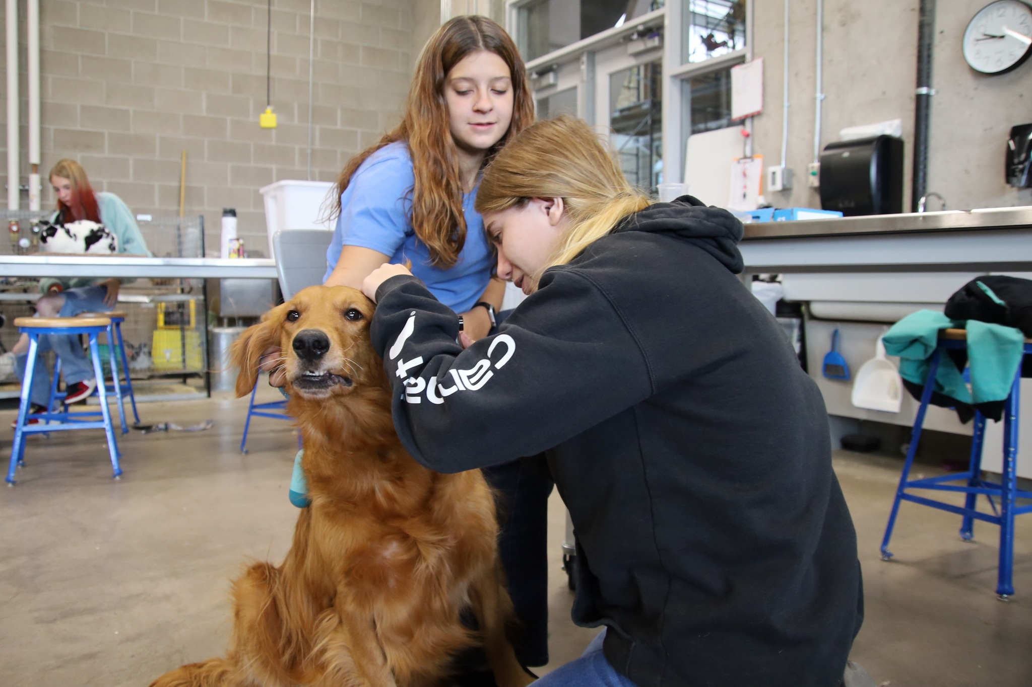 (PHOTOS) Prospective vets of the future care for Casper critters at