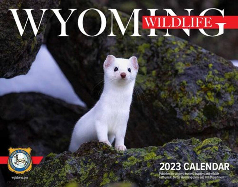 2023 'Wyoming Wildlife' calendar featuring contestwinning photos