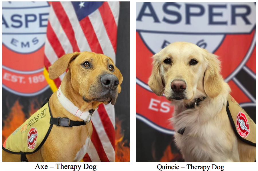 Casper Fire Department Welcomes First Certified Therapy Dogs Casper   Screen Shot 2023 01 18 At 3.02.23 PM 